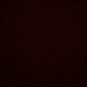 Meet your Posher, Carly